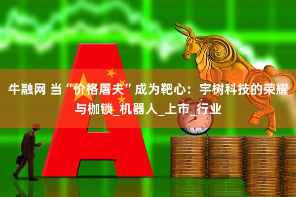 牛融网 当“价格屠夫”成为靶心：宇树科技的荣耀与枷锁_机器人_上市_行业